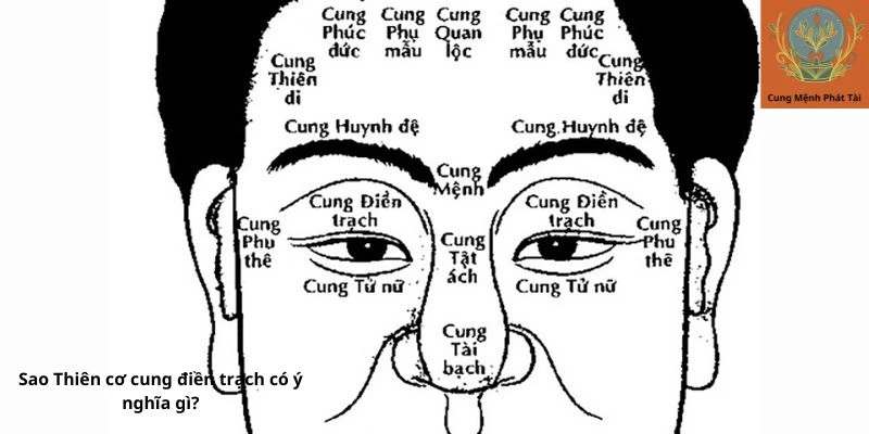 Sao Thiên cơ cung điền trạch có ý nghĩa gì?